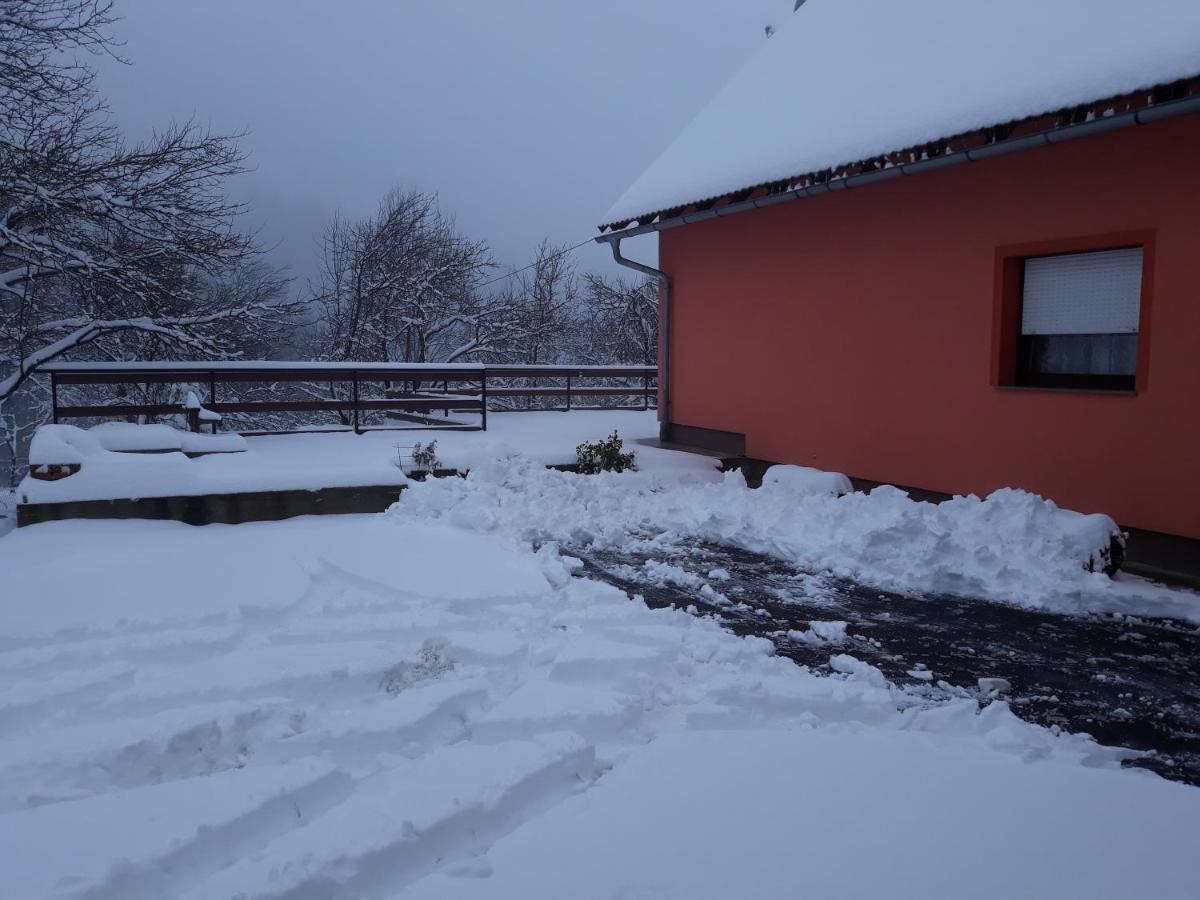 Ferienwohnung Biljevina Saborsko Exterior foto